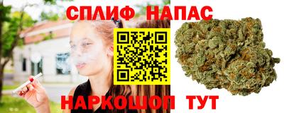 ПСИЛОЦИБИНОВЫЕ ГРИБЫ Бузулук