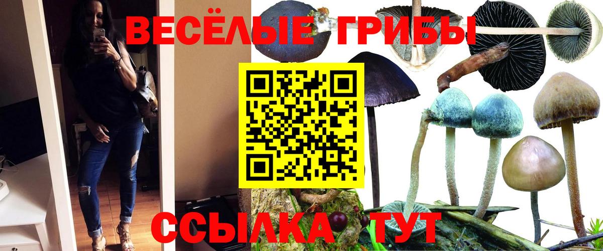 Галлюциногенные грибы Psilocybine cubensis  Псилоцибиновые грибы ЛСД  Азов  Вход с VPN 